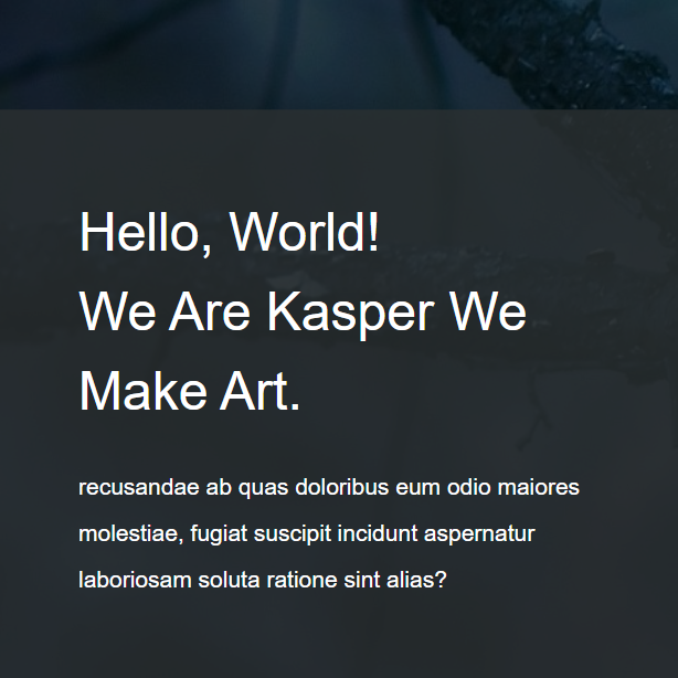 Kasper Agency Website