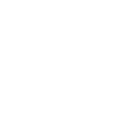germany icon