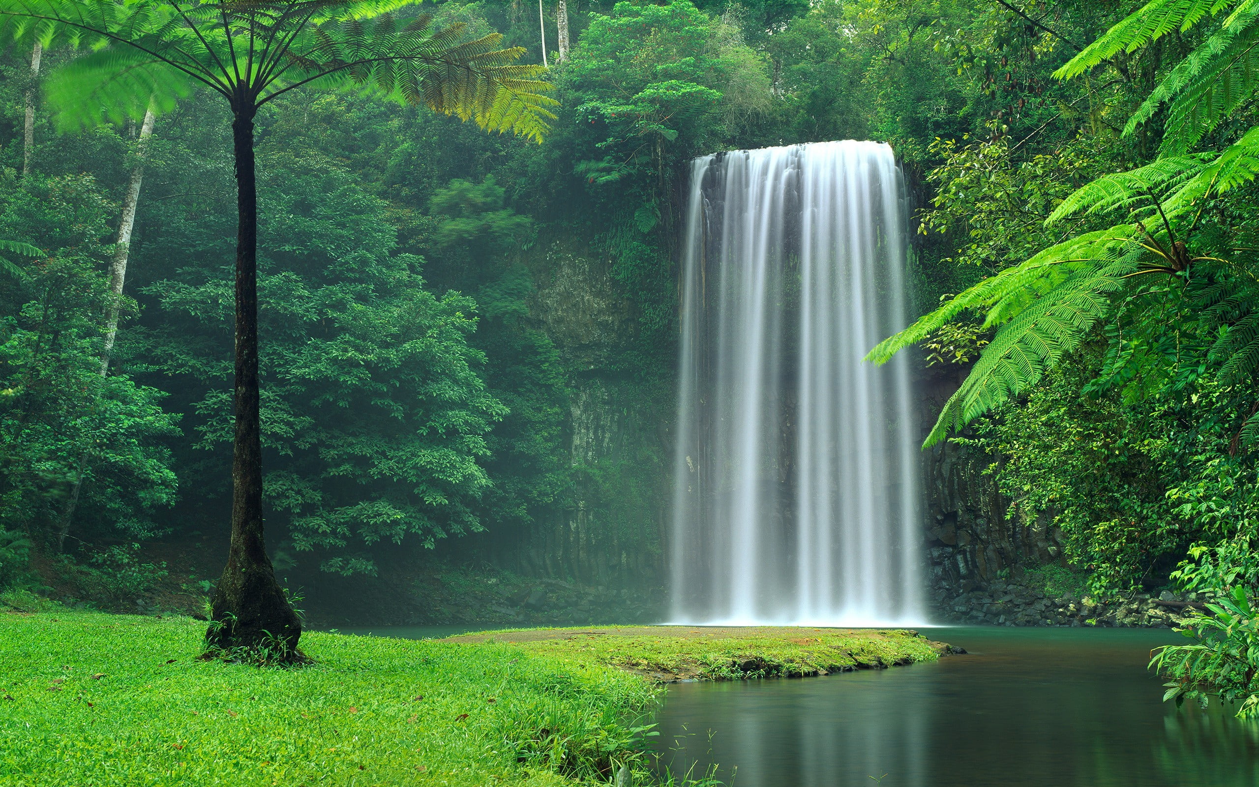 Waterfall Backgroung